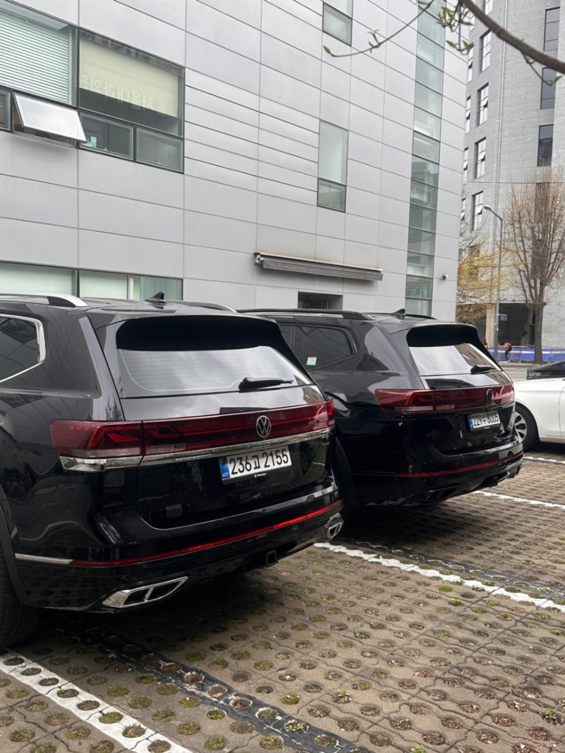 폭스바겐 폭스바겐  2026년식 실물 사진 4/10 - 블랙에디션 vs 일반