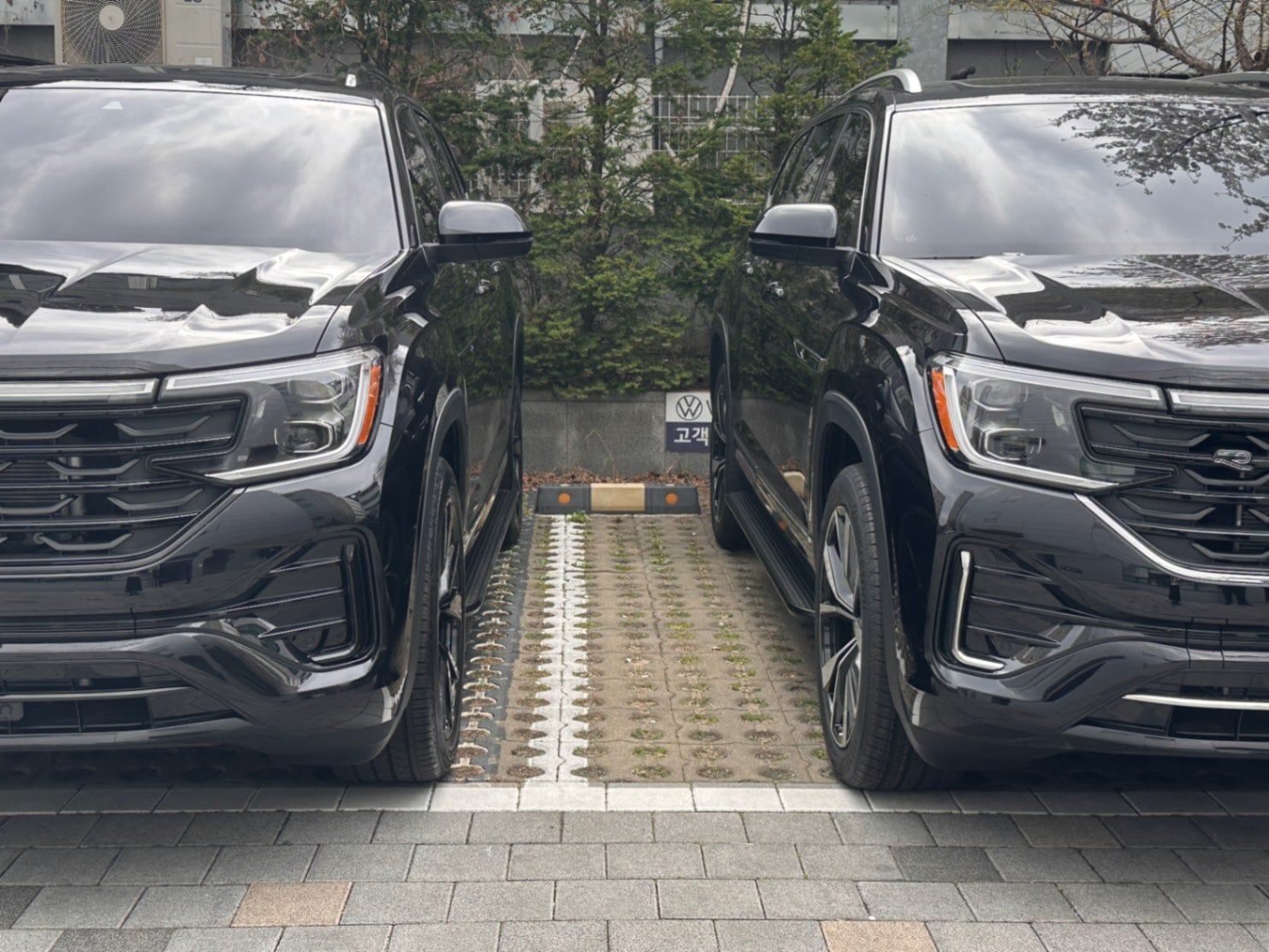 폭스바겐 폭스바겐  2026년식 실물 사진 7/10 - 블랙에디션 vs 일반