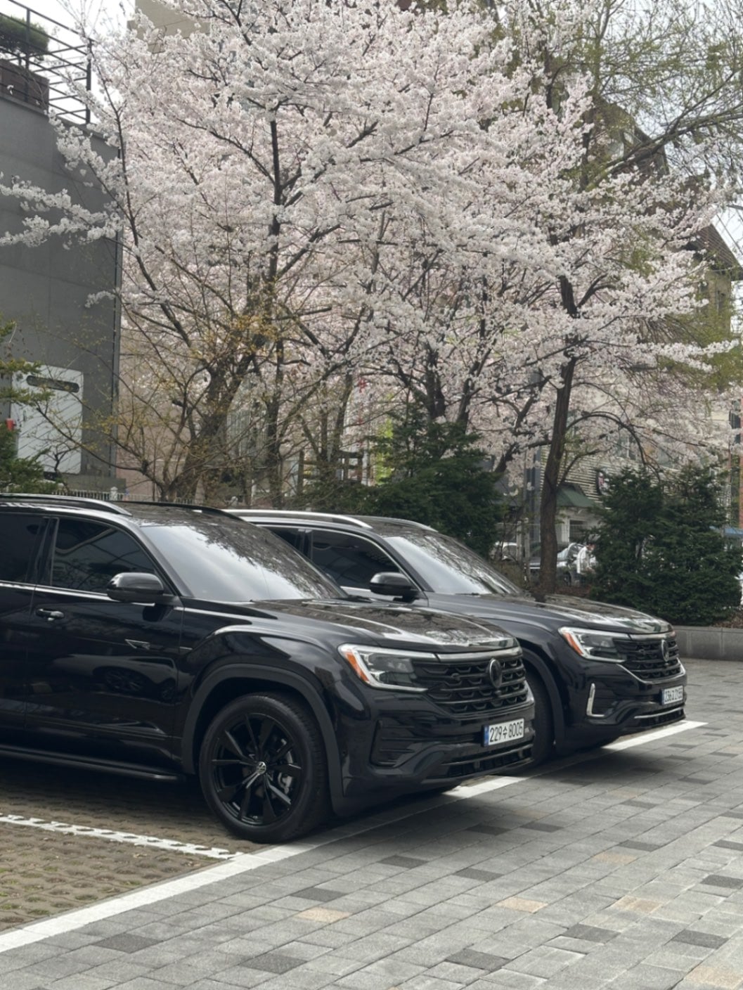 폭스바겐 폭스바겐  2026년식 실물 사진 10/10 - 블랙에디션 vs 일반