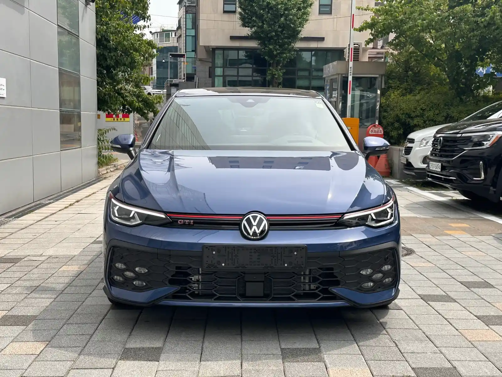폭스바겐 골프 아네모네 블루 GTI 2026년식 실물 사진 2/8